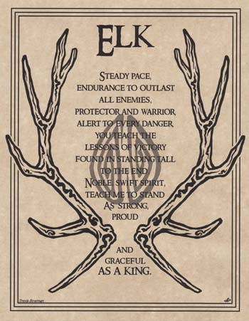 (image for) Elk Prayer